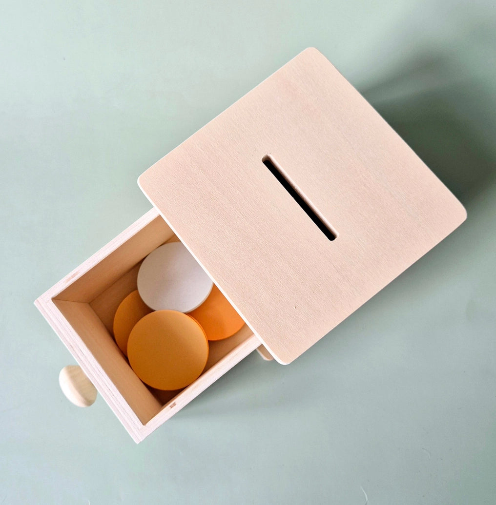 Montessori play box with colored discs for toddlers developing hand eye coordination and concentration